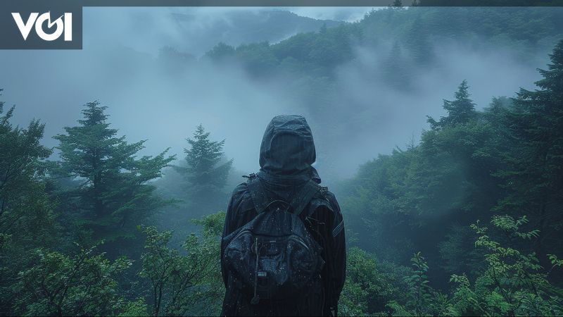 Apa yang Harus Dilakukan Jika Tersesat di Gunung? Begini Tips dari Pendaki Profesional