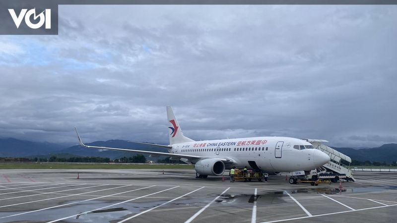 Hewan Peliharaan Lepas di Kabin: Penerbangan Maskapai Ini Ditunda, Seluruh Penumpang Terpaksa Turun