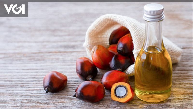 Ekspor Mei 2024 Naik, CPO Malah Turun Tajam hingga 22,19 Persen