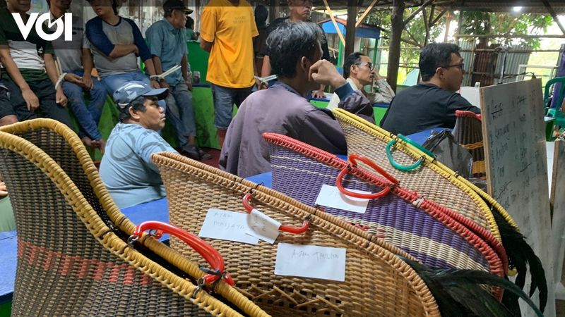 Akal-akalan Panitia Judi Sabung Ayam di Bekasi, Pajang Piala Agar Terlihat&nbsp;Resmi